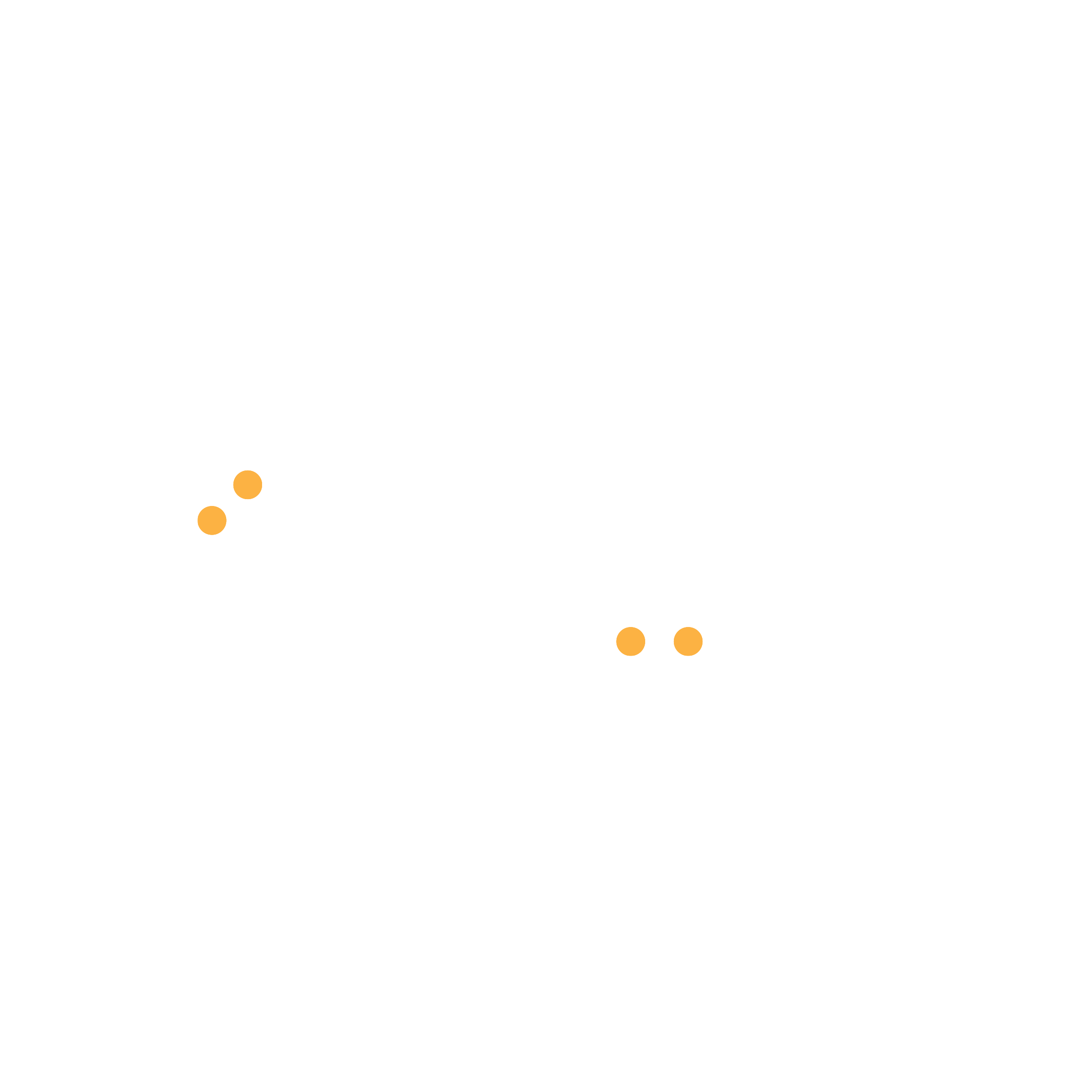 راية